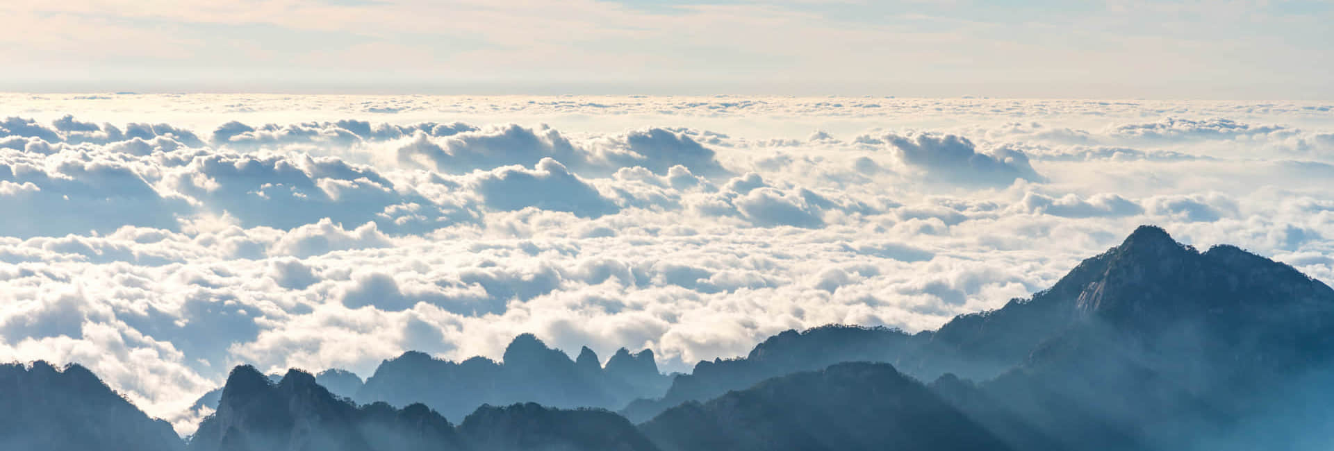 乐动手机站·官方版在线简介