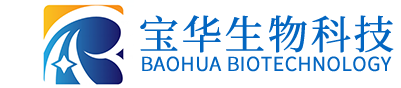 乐动手机站·官方版在线